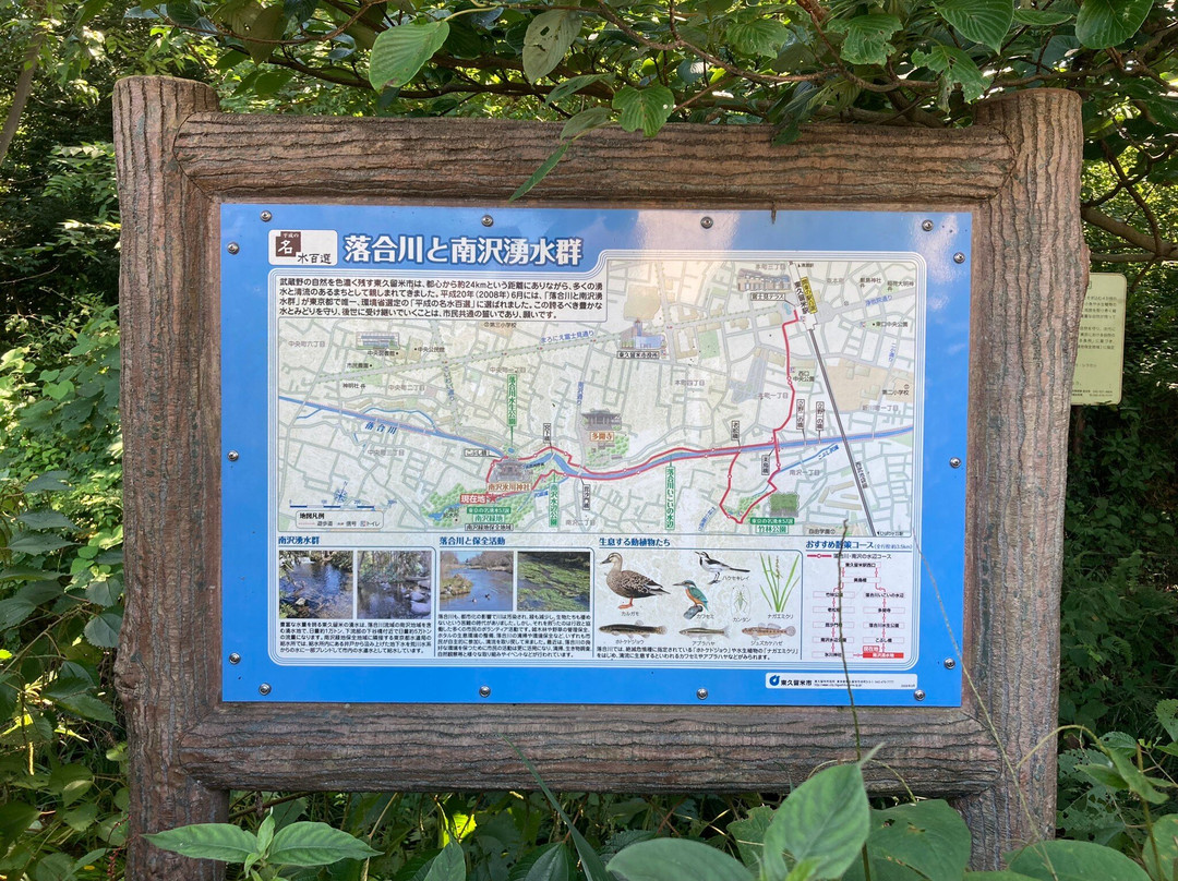 Ochiai River and Minamisawa Springs-东久留米市必去景点