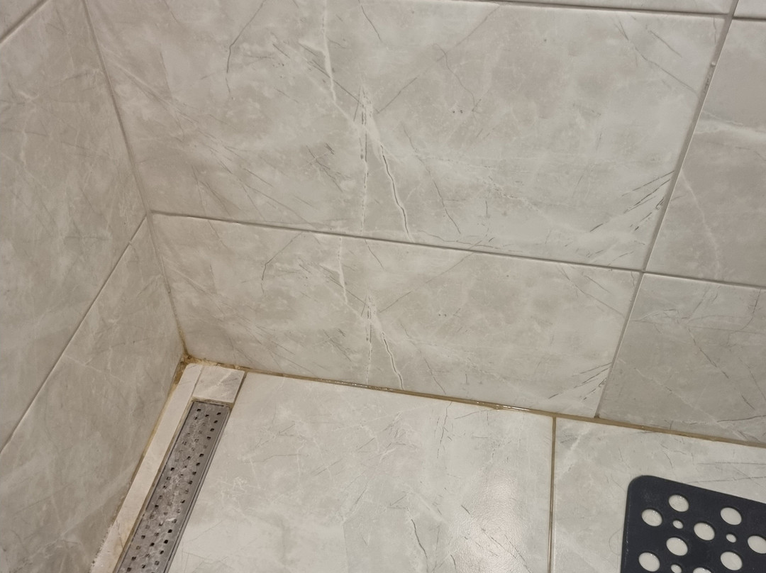 Musti's Royal Hotel Plaza主图
