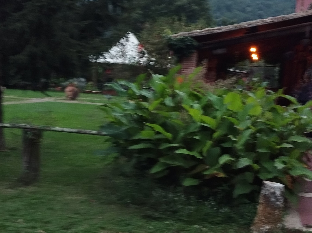 Agriturismo Castro主图