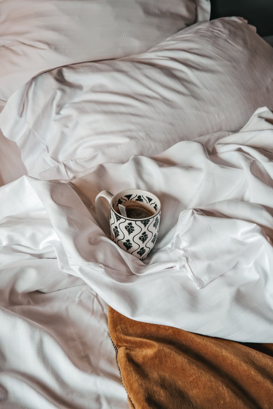 普莱因大酒店-客卧