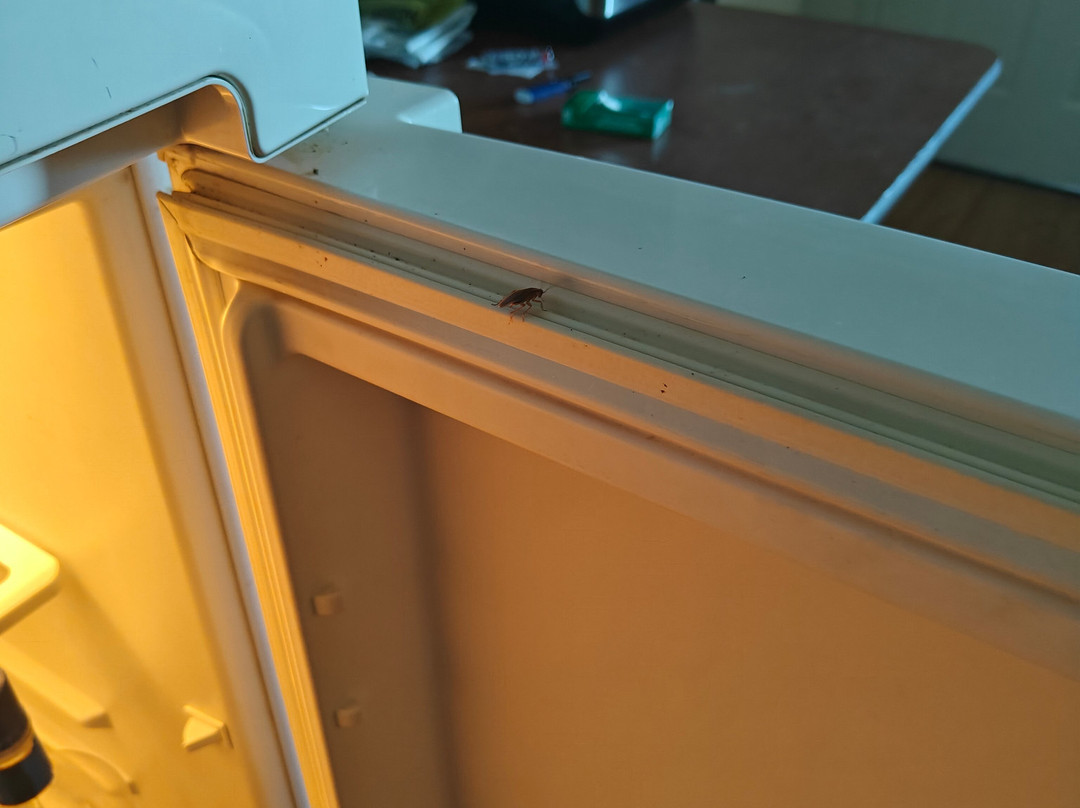 HomeTowne Studios by Red Roof Dallas - Mesquite主图