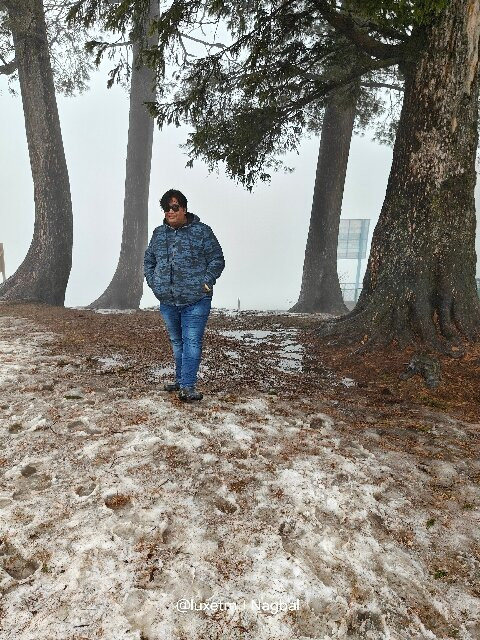 Gulmarg Zahgeer Continental主图