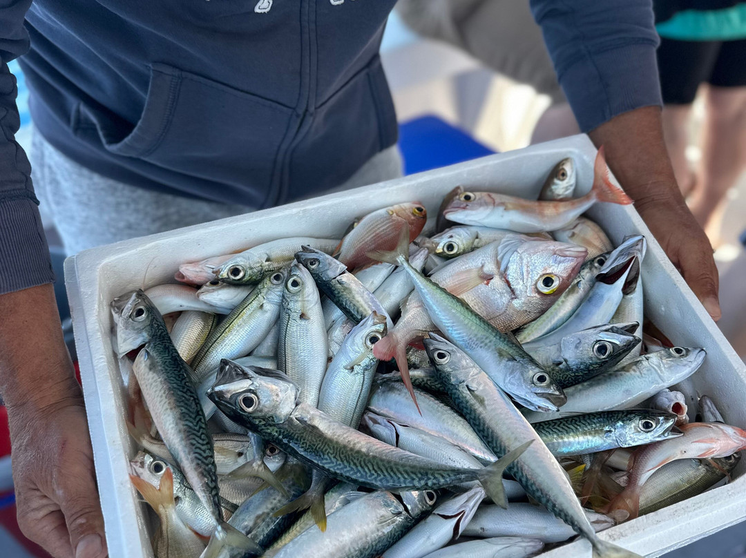 Samos Fishing Trips景点图片
