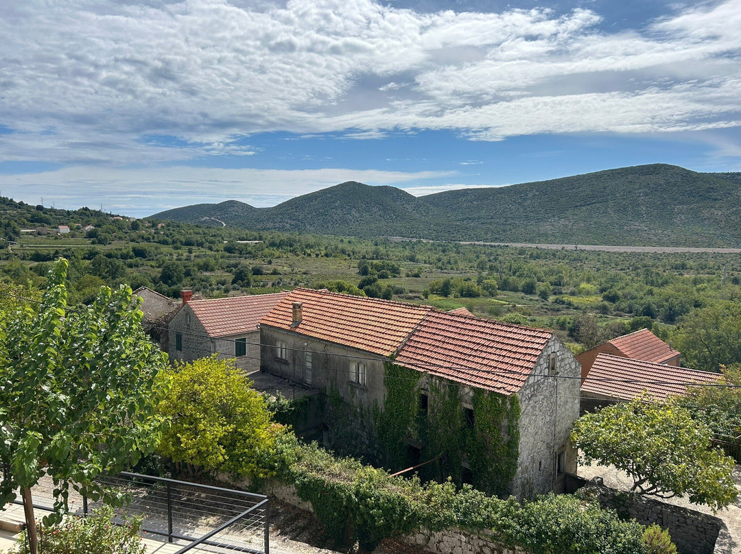 Milos Winery景点图片