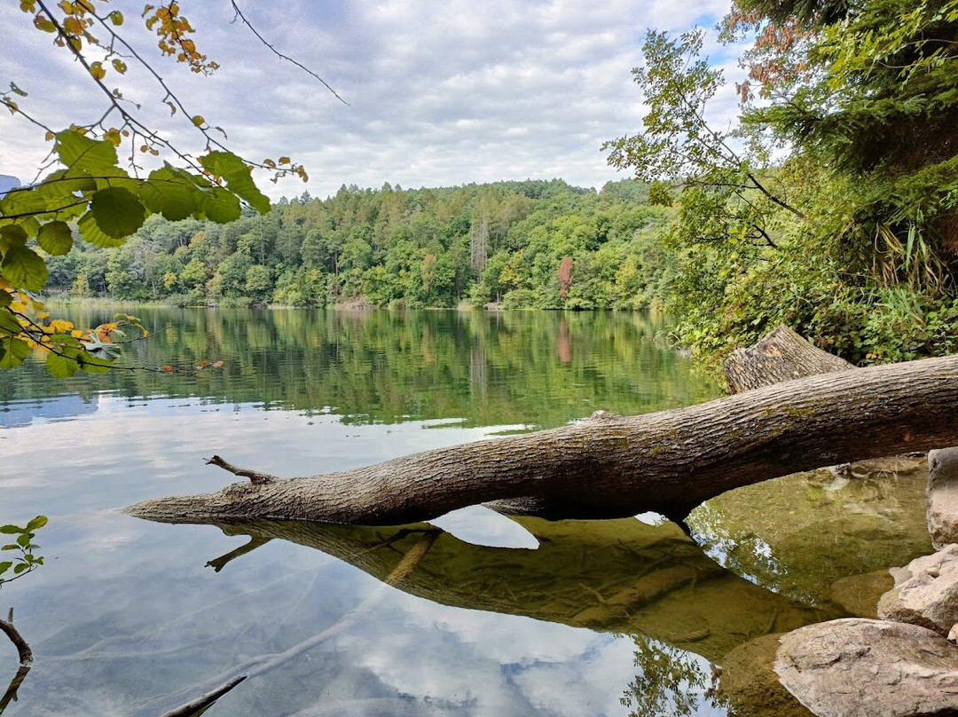 Lago Piccolo Laghi di Monticolo景点图片