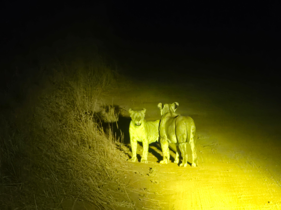 Taita Hills Wildlife Sanctuary景点图片