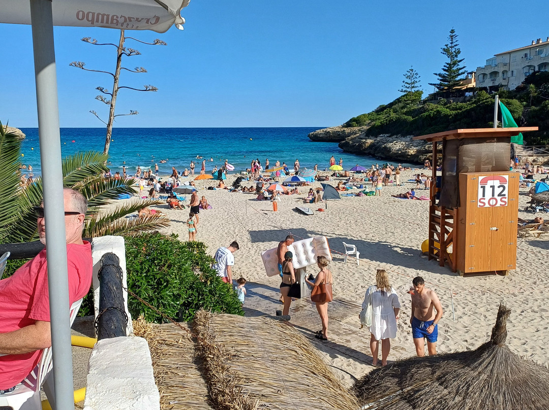 Mallorca Fashion Outlet景点图片