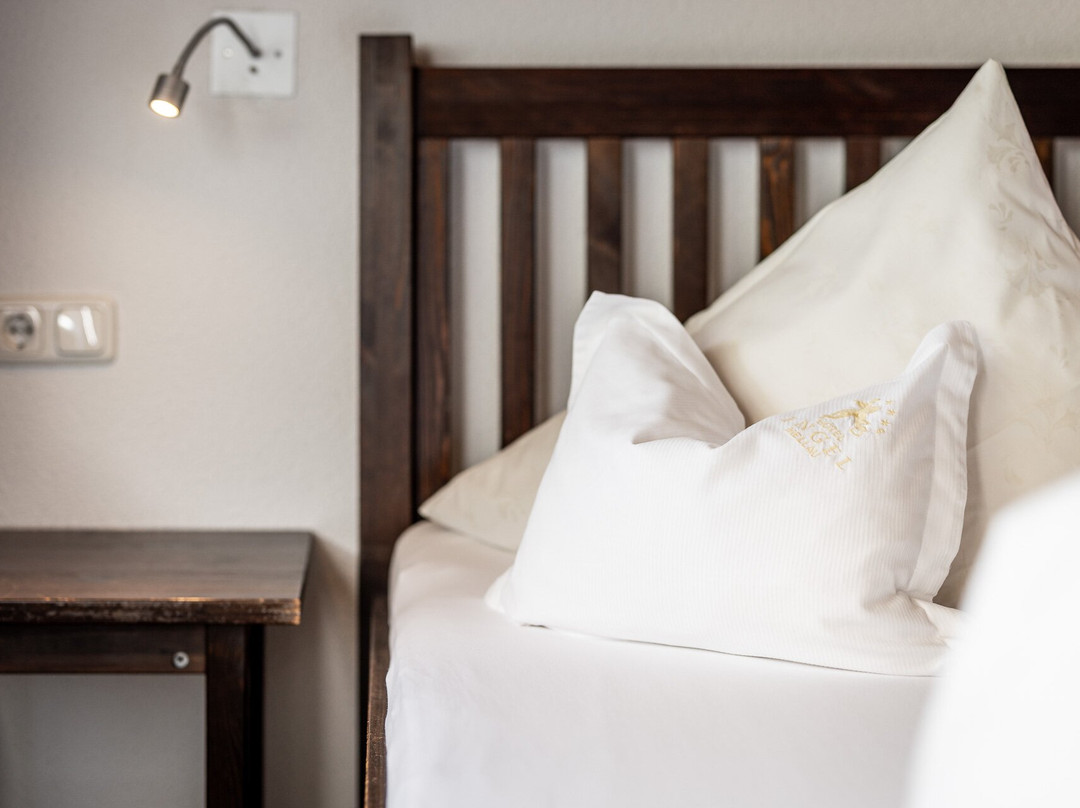 Entdeckerhotel Engel主图