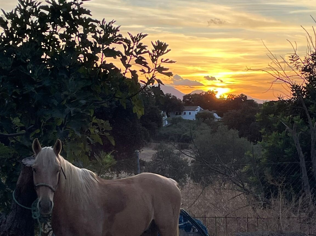 Caballos y Vino景点图片