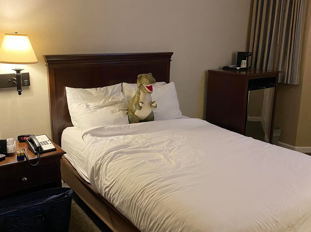 The Margate Resort主图