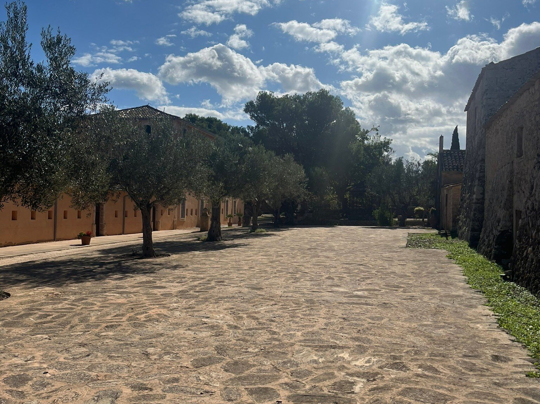 Finca Publica Son Real景点图片