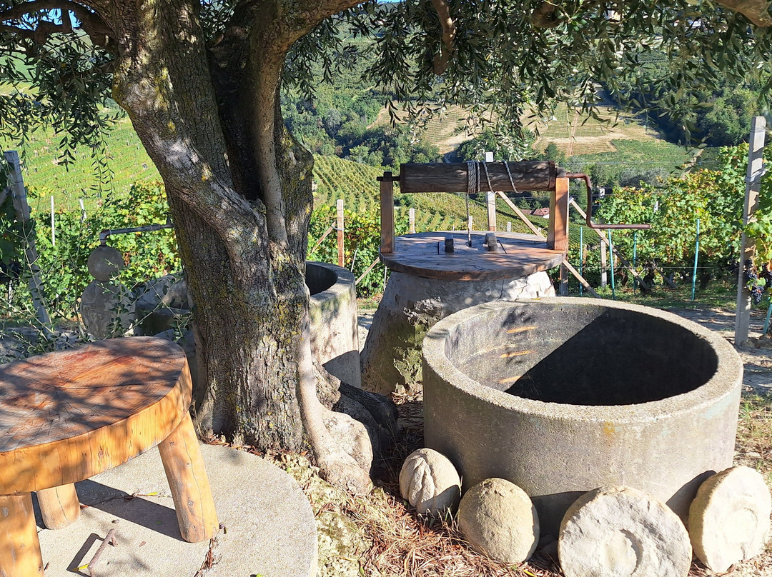 Azienda Agricola Fratelli Savigliano景点图片