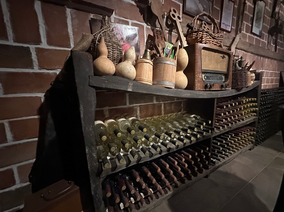 Wine tasting - Winery Masanovic-维尔巴札拉必去景点