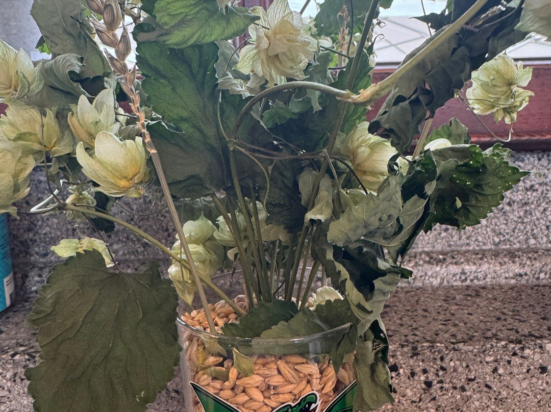 Loo-Blah-Nah Brewery and Taproom-卢布尔雅那必去景点