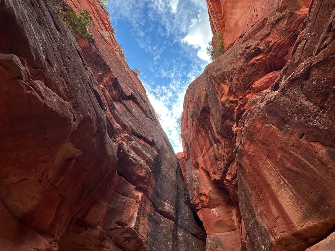 ROAM East Zion-锡安国家公园必去景点