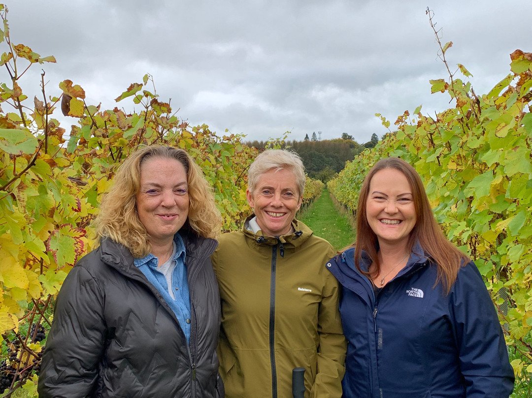 Squerryes Winery - Tours and Tastings-Westerham必去景点