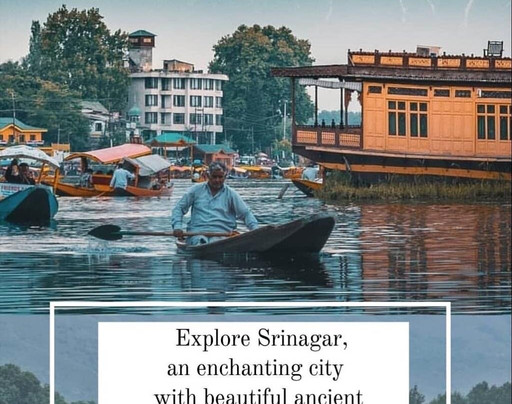 Aashish Tour And Travels-斯利那加必去景点