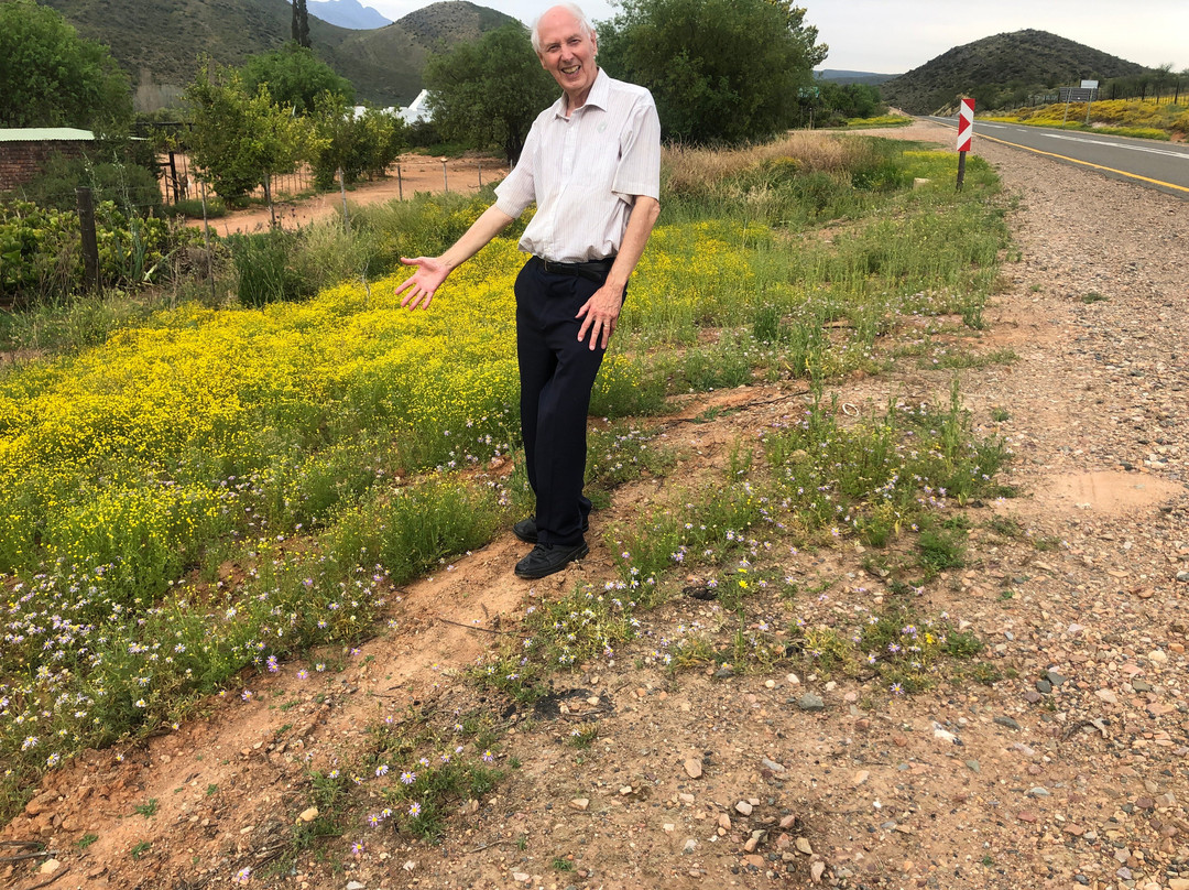 Southern Circle Tours & Safaris景点图片