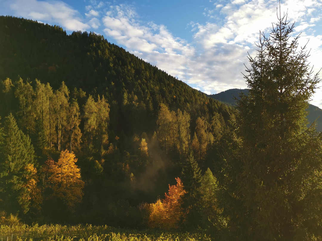 Hotel Ludwigshof & Luvina主图