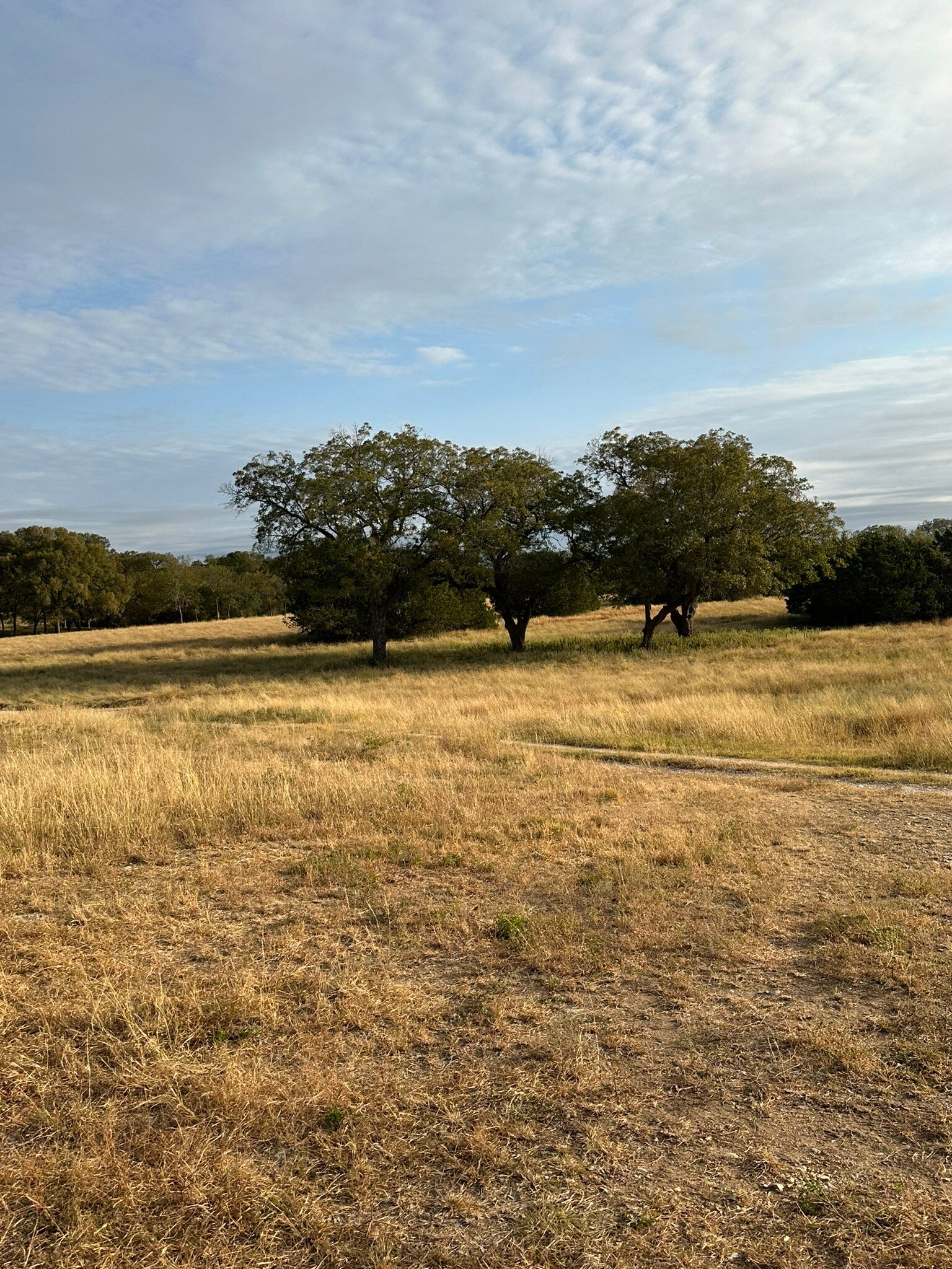 Joshua Creek Ranch-官方