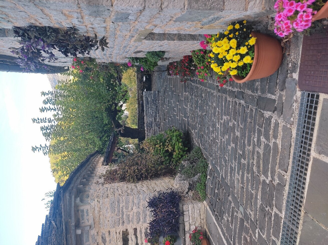 Ioannidis Guesthouse主图