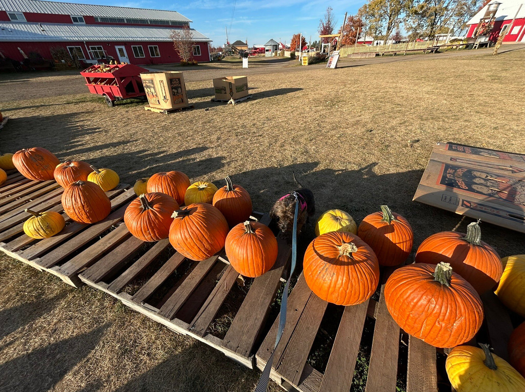 Richardson Adventure Farm-Spring Grove必去景点