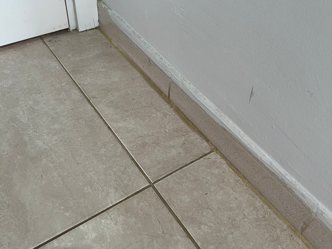 格兰坎普德玛酒店主图