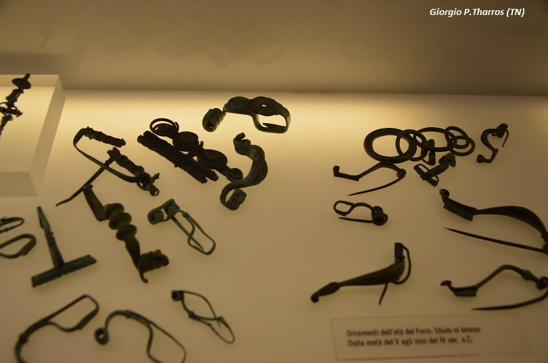 Museo Retico景点图片