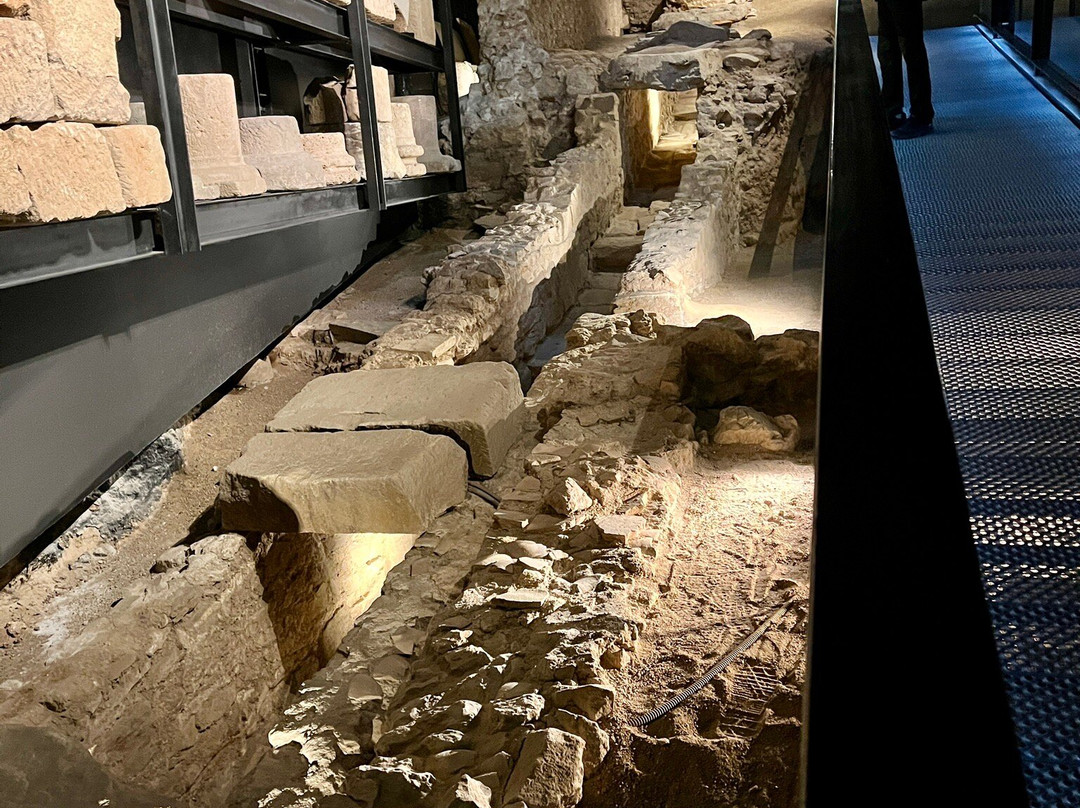 Museu de Badalona景点图片