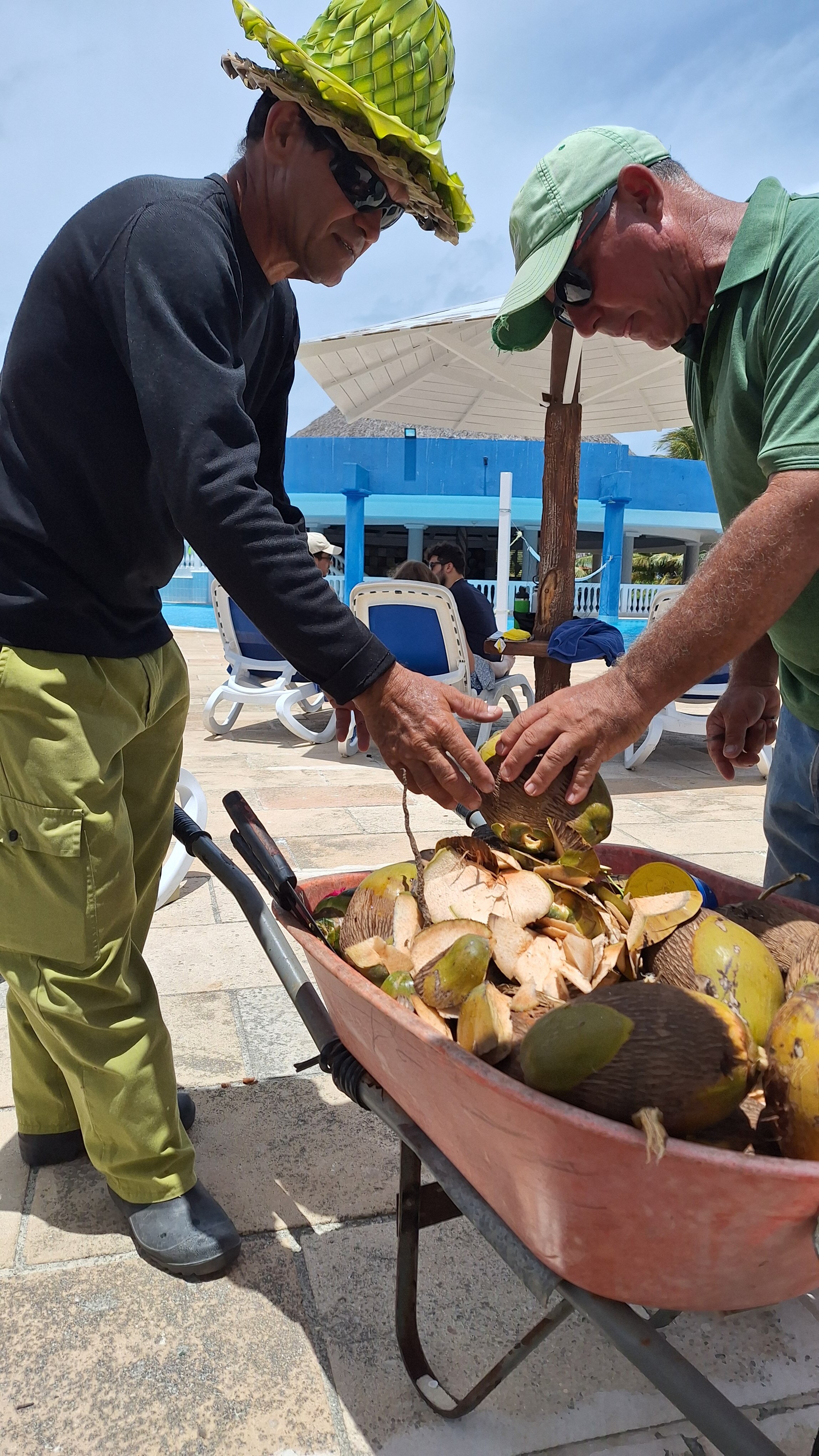 Iberostar Origin Daiquiri-泳池