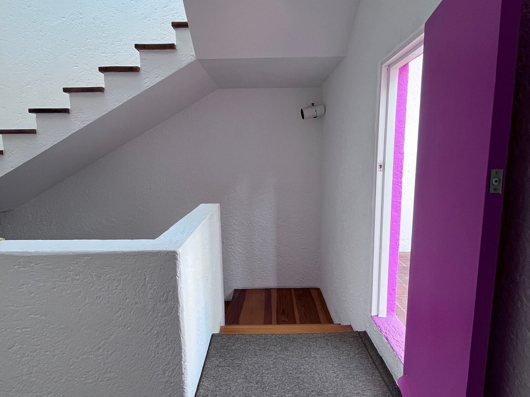 路易斯·巴拉干博物馆-墨西哥城必去景点