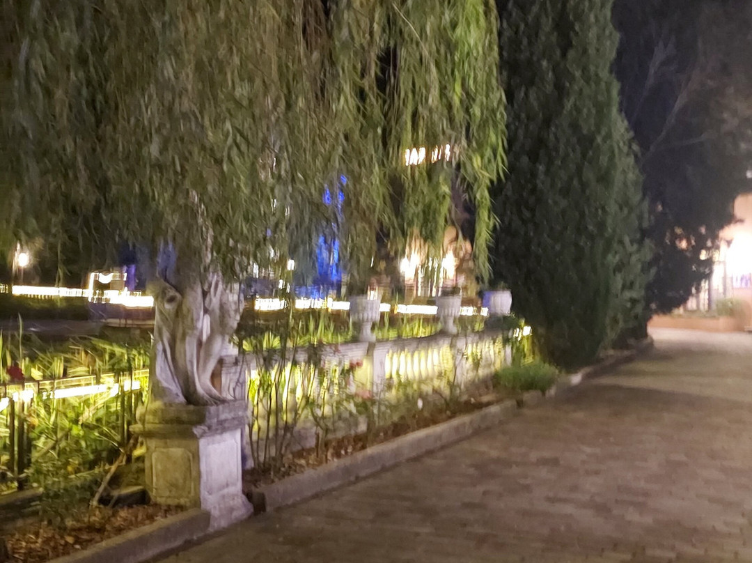 Centro Benessere Hotel Villa Leri主图
