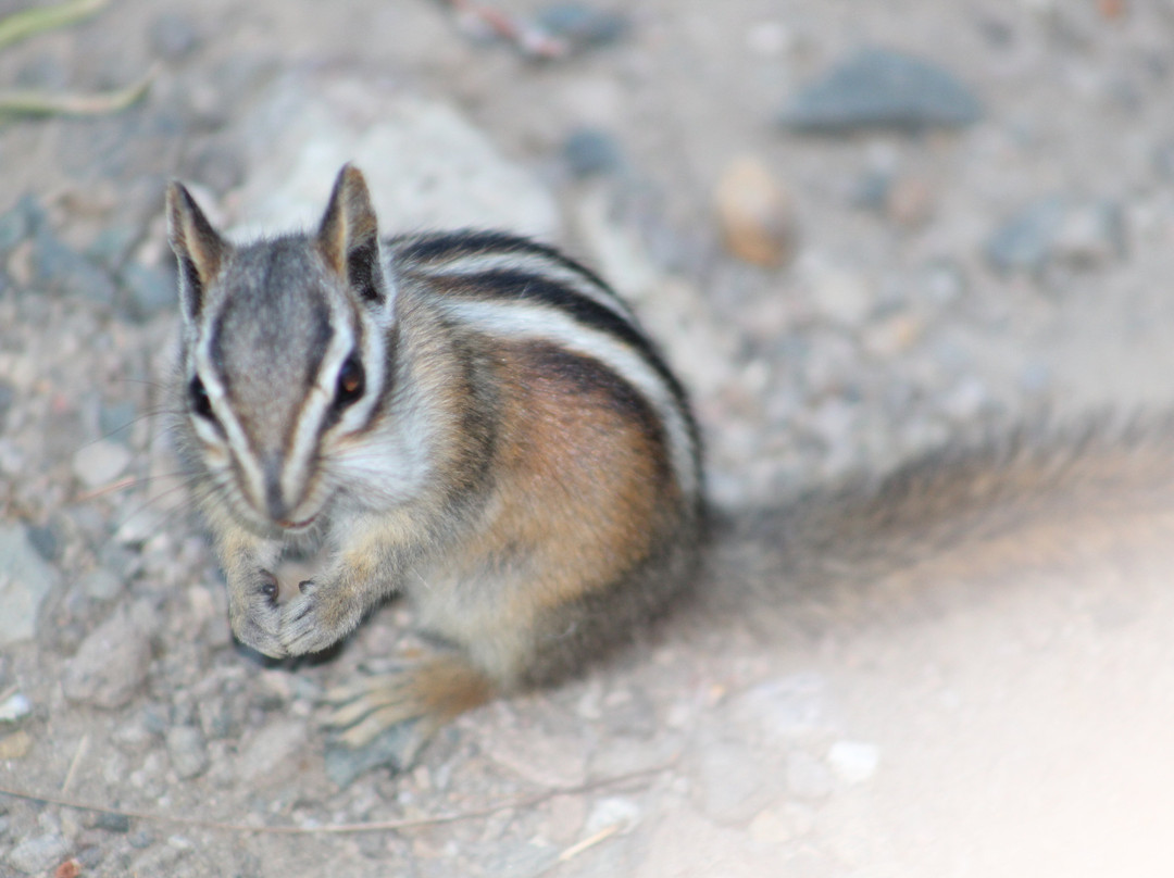 Las Nubes Resort主图