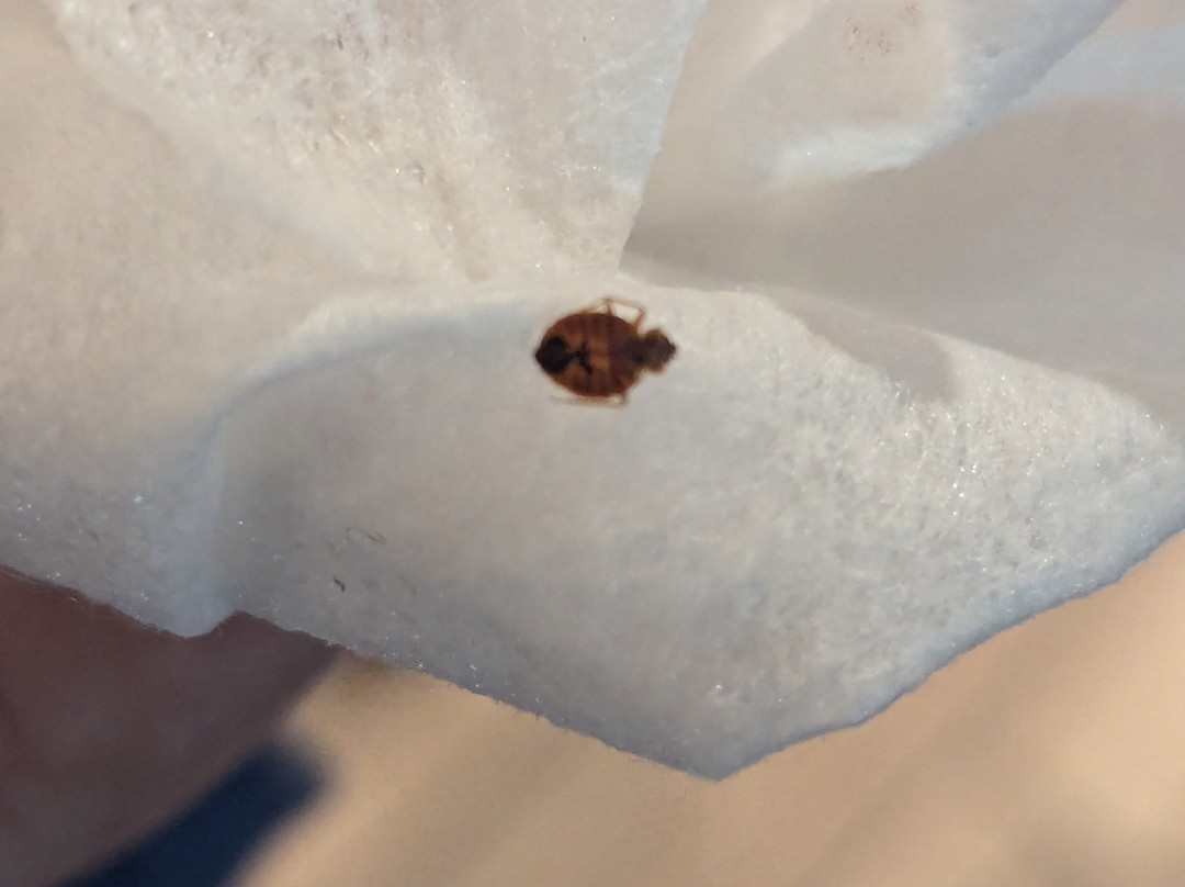 TownePlace Suites by Marriott Columbia West/Lexington主图