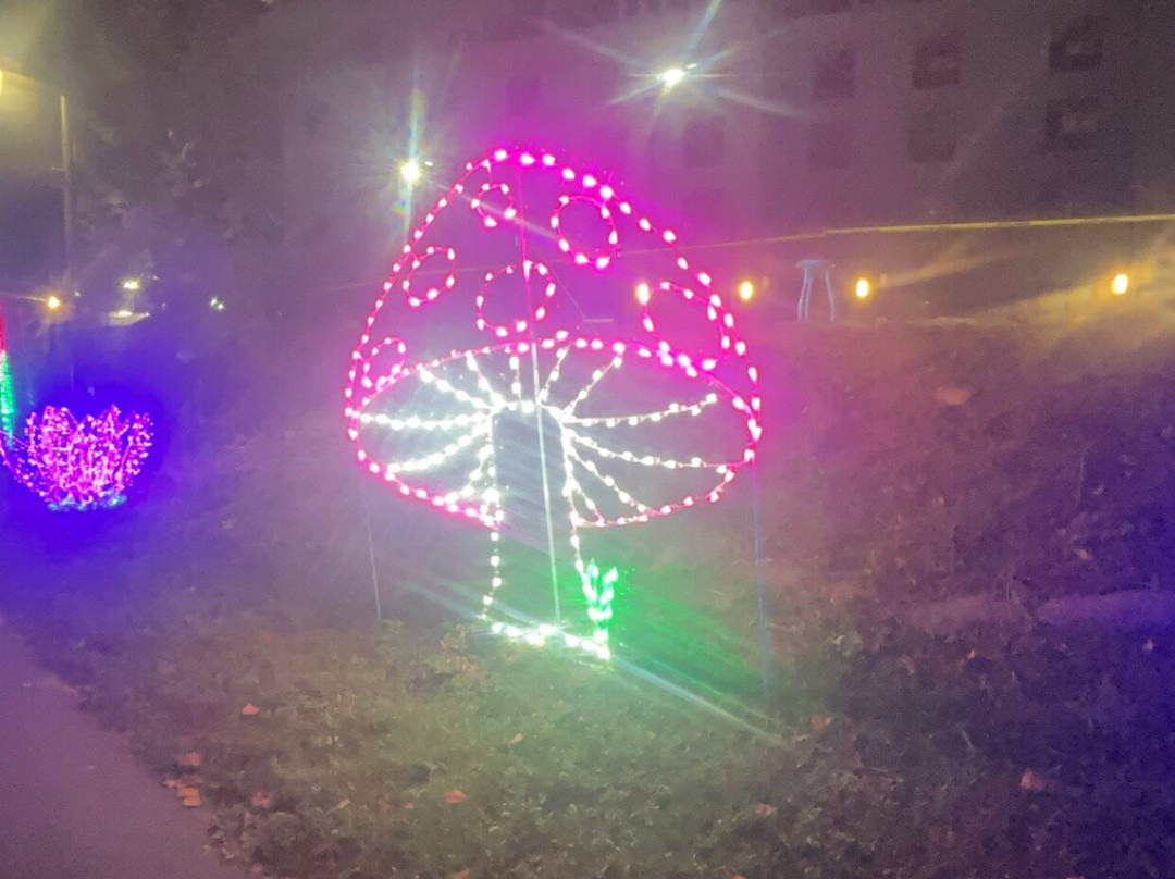 A Long Story Short Company-皮金福奇必去景点