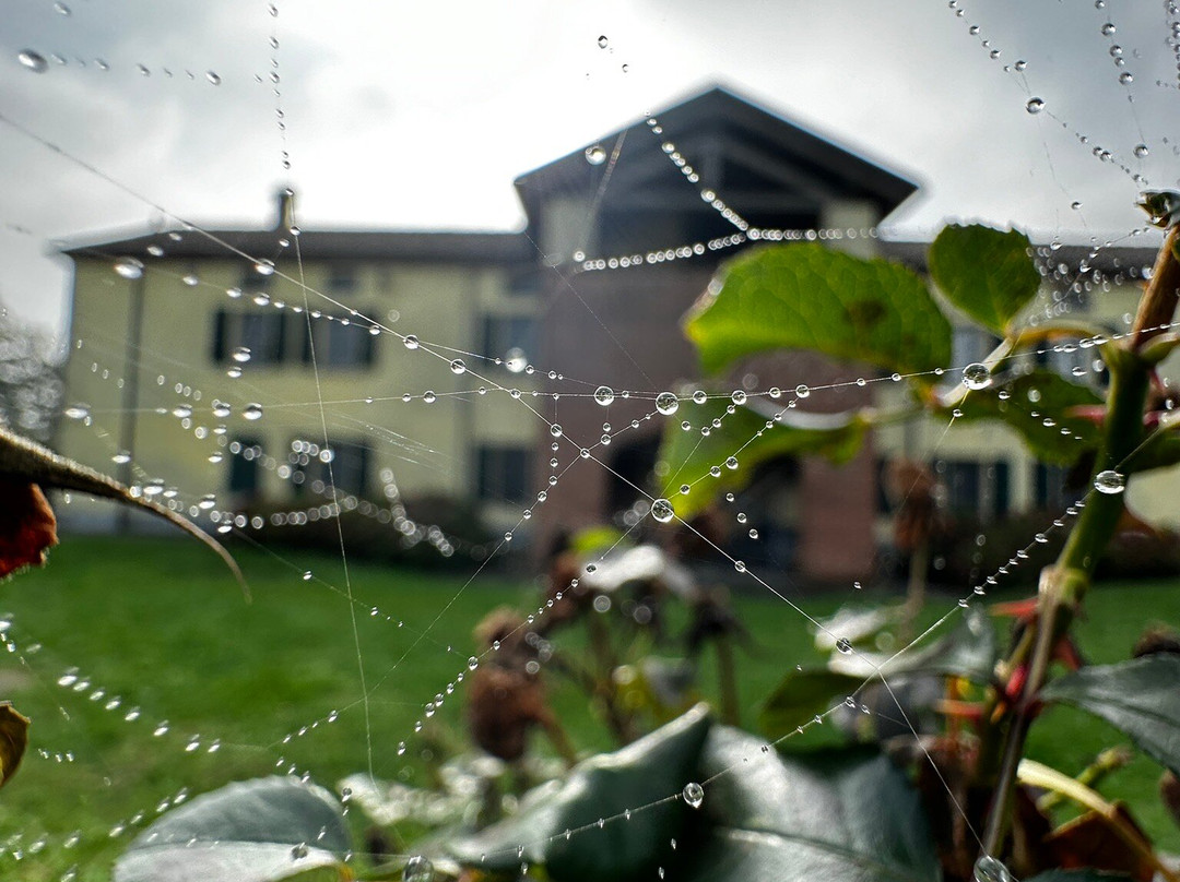 Cascina San Giorgio主图