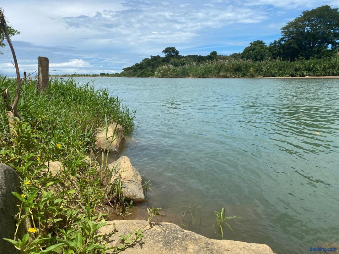 Main St Boutique Tropical Room主图