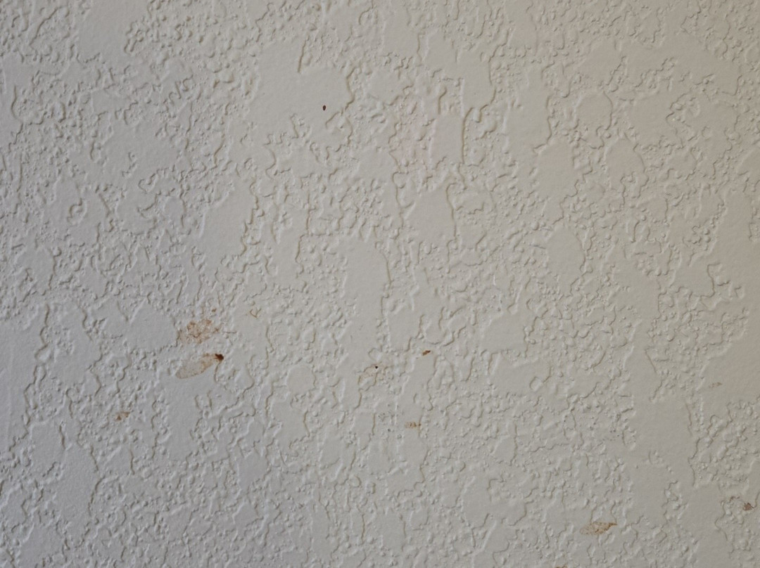 Days Inn by Wyndham Regina主图