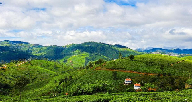 Ghar Homestay, Where Family Lives Together
