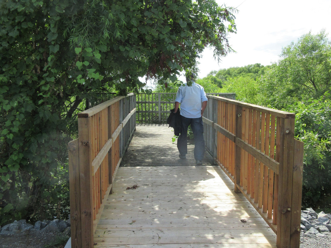 Quai De Sainte-angèle-贝坎库尔必去景点