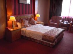 淮南市酒店住宿-金地海顿大酒店