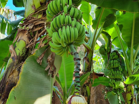 Marsa Alam online-马萨阿拉姆必去景点