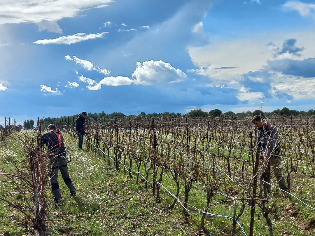 Domaine Du Chat Blanc-Saint-Didier必去景点