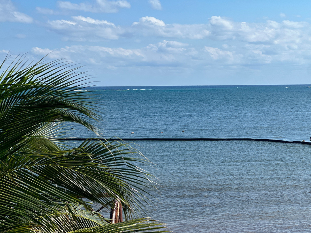 Secrets Riviera Cancun Resort & Spa主图