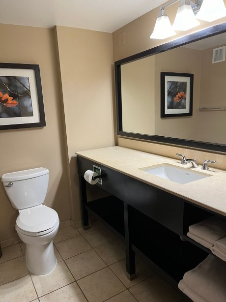 克里夫兰剧场广场皇冠假日酒店-浴室