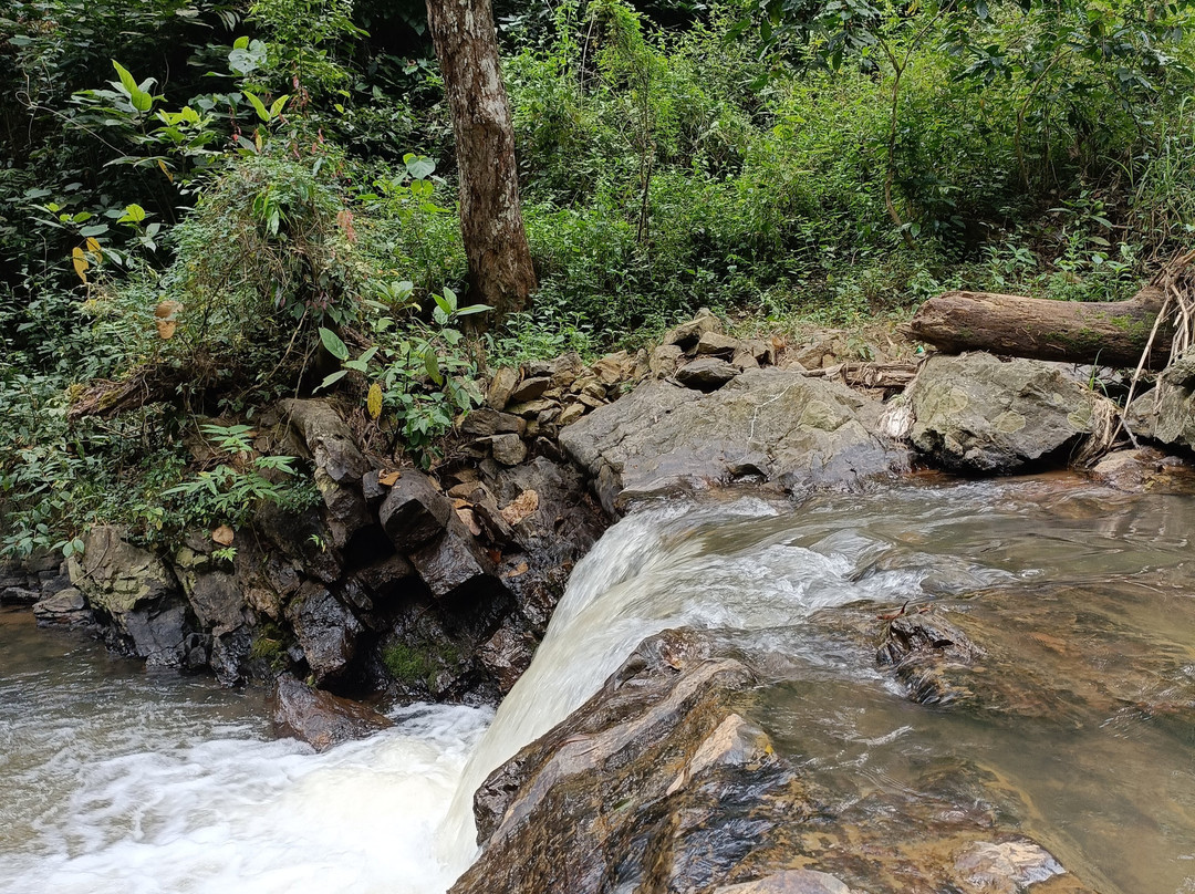 Kingmaker's Plantation With River Stream主图