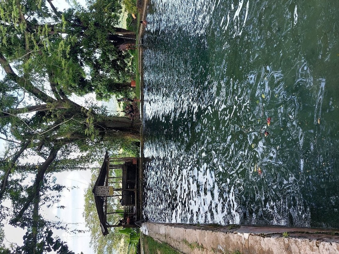 Abeokuta Paradise Nature Park-蒙特戈贝必去景点