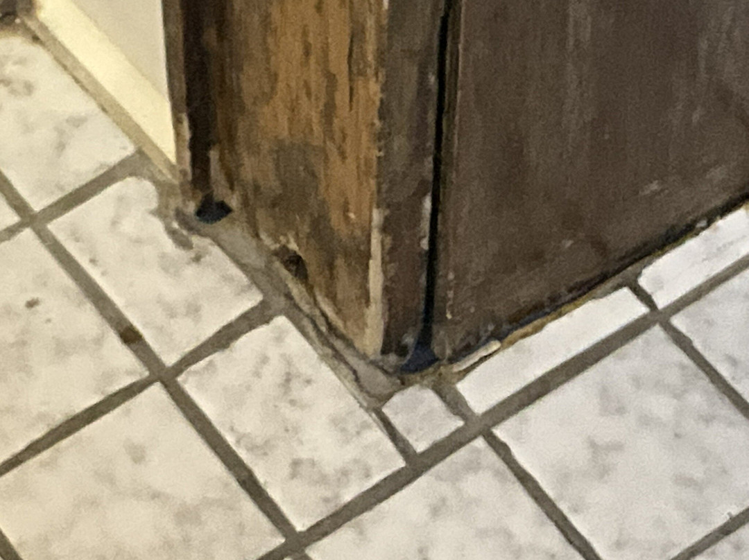 Bayrischer Hof主图