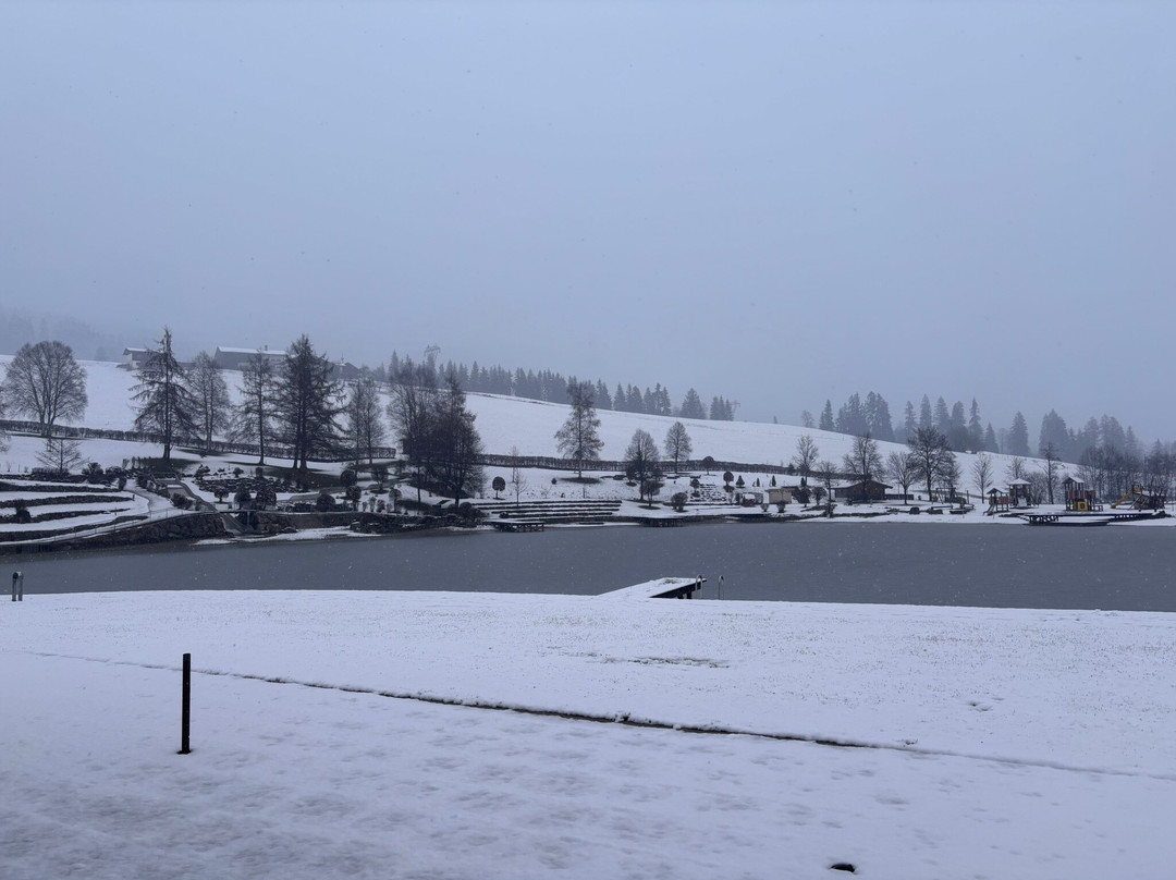 Gäestehaus Brantlhof主图