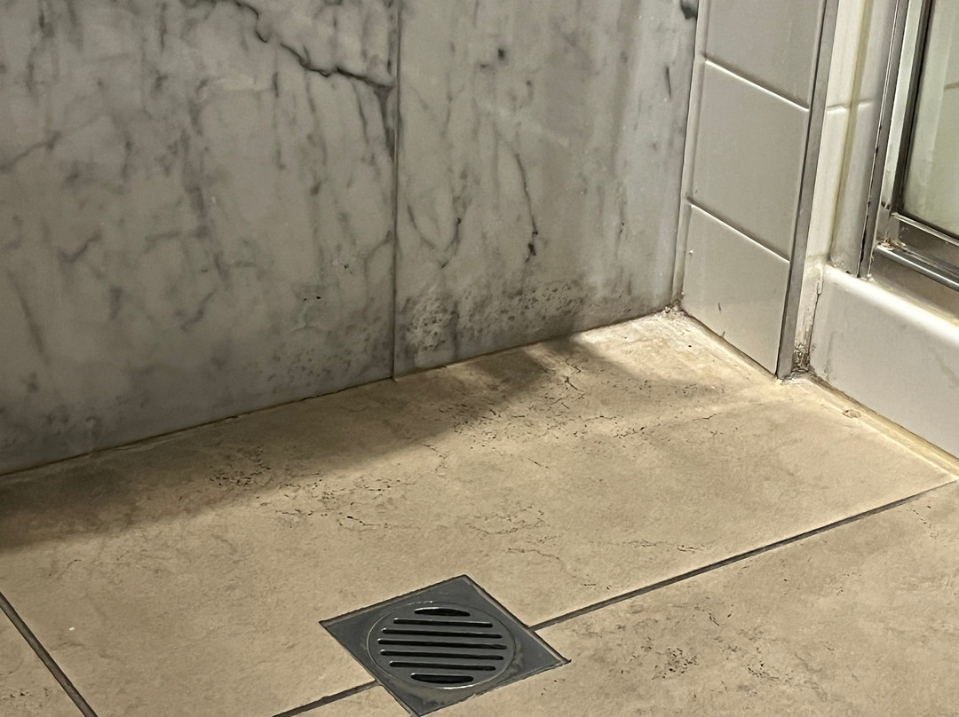 Adara Richmond主图